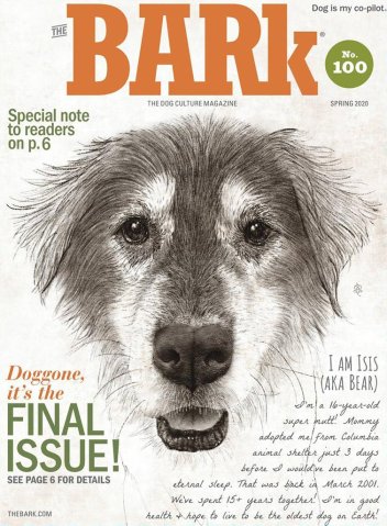 Bark Magazine